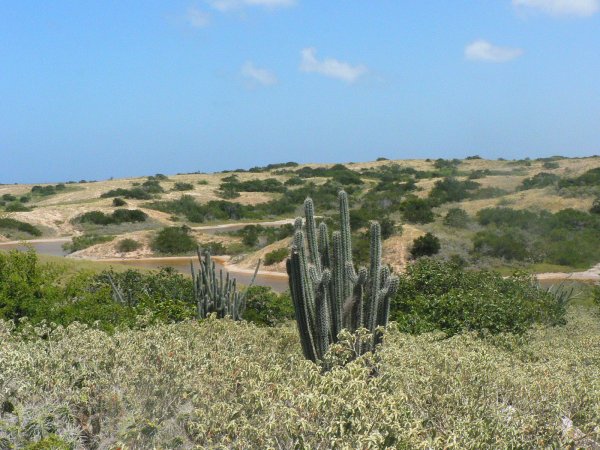 42- Une lagune 